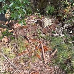 瓦差し上げますの画像