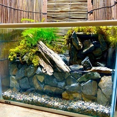 水の流れる滝テラリウム水槽の画像