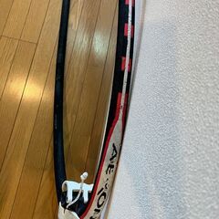 ウインドサーフィン　カーボンブームの画像