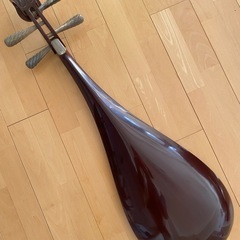 
中国琵琶 の画像