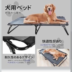 折りたたみ　ドッグベッドの画像