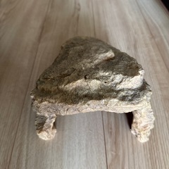 フトアゴヒゲトカゲなど爬虫類の飼育用品 の画像