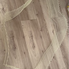 小動物　ハムスター　サークル　お散歩の画像