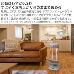 ★新品未使用★Aladdinグラファイトヒーター グリーン※保証書付の画像