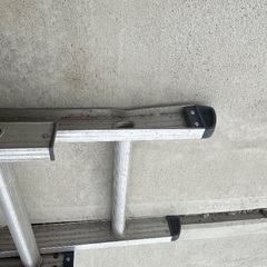 2連ハシゴの画像