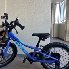 trek 16いんち16インチの画像