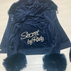 Radyセットアップの画像