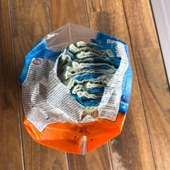 水遊びパンツの画像