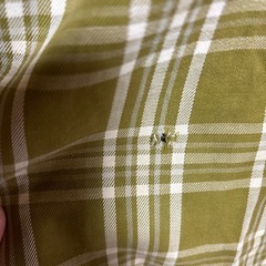 レディースエプロンー無料でお譲りします。の画像