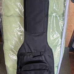 Bacchus エレキギター WINDY PLD R 3TS廃番の画像