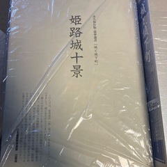 城と城下町の画像