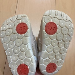 俊足　13.0cmの画像