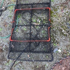 6セット 穴子 シャコ カニカゴ 蟹カゴ 蟹篭  蟹採り 漁具、中古の画像