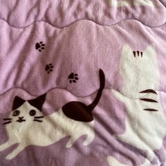 ✨こたつ布団♡猫ちゃん柄✨の画像