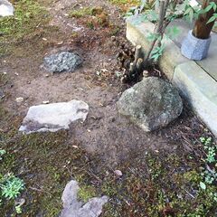 【引き取り限定。越前市】庭石 ブロック の画像