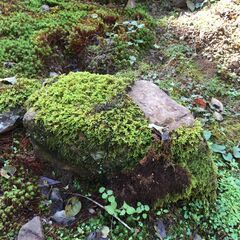 【引き取り限定。越前市】庭石 ブロック の画像