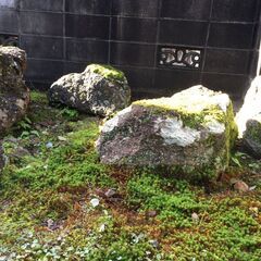 【引き取り限定。越前市】庭石 ブロック の画像