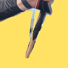 三線　※ケースなしの画像