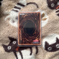 遊戯王 伝説の白き龍の画像