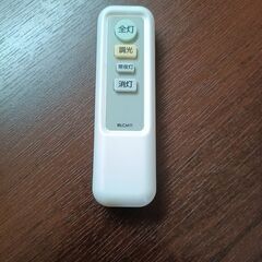 11/7朝～8朝_シーリングライト(カバーなし)の画像