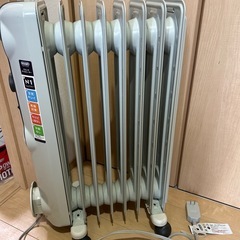 デロンギオイルヒーターの画像