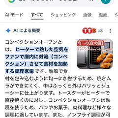 (運搬費込)(即日、深夜ok) コンベクションオーブン　2019年製　アイリスオーヤマの画像