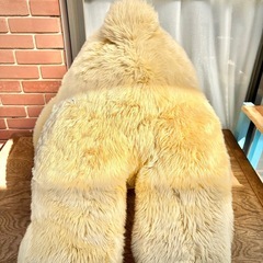 大きなテディベアの画像