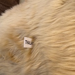 大きなテディベアの画像