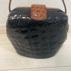 早い者勝ち　Fontanelli シャイニングクロコ 本革 y2k ハンドバッグの画像