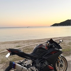 CBR250RR    MC51 車両交換可の画像