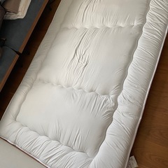 ニトリ テイジン 防ダニ防臭抗菌敷布団 ダブルの画像