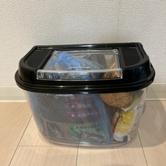 カブトムシ飼育セット
の画像