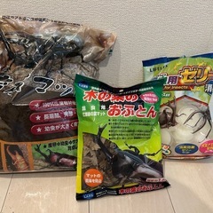 カブトムシ飼育セット
の画像