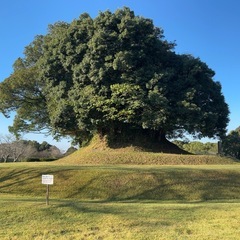 🌿【玉名市】肥後古代の森公園でゆる〜くお散歩しませんか？🚶‍♀️🚶‍♂️ - 玉名市