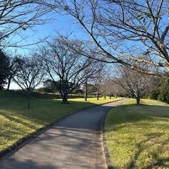🌿【玉名市】肥後古代の森公園でゆる〜くお散歩しませんか？🚶‍♀️🚶‍♂️ - スポーツ