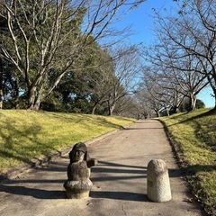🌿【玉名市】肥後古代の森公園でゆる〜くお散歩しませんか？🚶‍♀️...