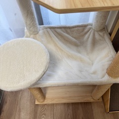 キャットタワー　　　
の画像
