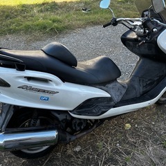 マジェスティ125 キャブ車　の画像