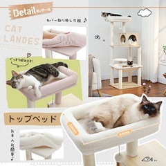 キャットタワー　　　
の画像