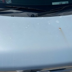 ダイハツ　コンテ　軽自動車の画像