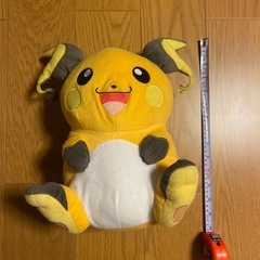 ゼニガメとライチュウのぬいぐるみの画像