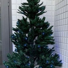 クリスマスツリー
の画像