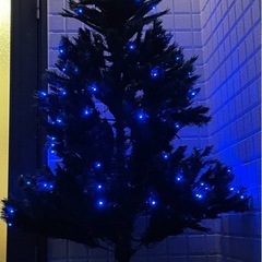 クリスマスツリー
の画像
