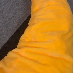 抱き枕バナナ、ネギクッションの画像