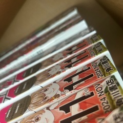 ヤングエース　21冊付録付きの画像