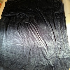 ニトリセミダブル布団3点セットの画像