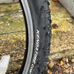 人気商品の自転車てすですの画像