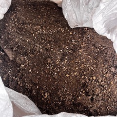 土　無料の画像