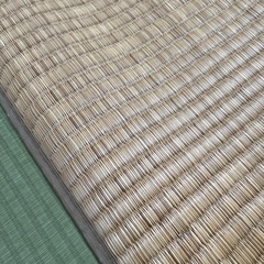 カーペット式ござの画像