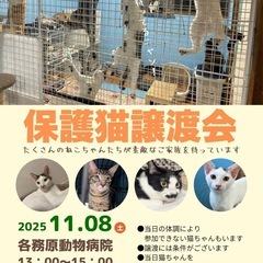 保護猫譲渡会in各務原